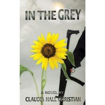 In the Grey an Alex the Fey Thriller Paperback, Cook Street Publishing
