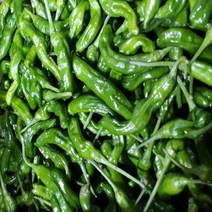 [맘스허브] 꽈리고추1팩, 1팩, 100g