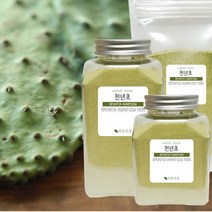 바른건강 천년초가루100% 손바닥선인장 줄기가루 천년초분말, 180g, 3개
