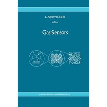 Gas Sensors: Principles Operation and Developments Paperback, Springer
