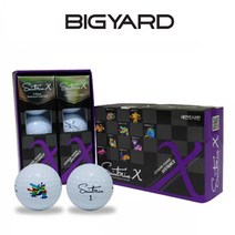 정품 스포츠용품 다양한골프공 브랜드별골프공 빅야드 하프더즌모음, 빅야드하프더즌(6알), 세인트나인X