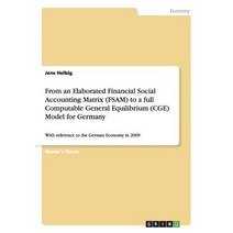 From an Elaborated Financial Social Accounting Matrix (Fsam) to a Full Computable General Equilibrium ..., Grin Publishing