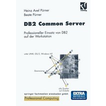 DB2 Common Server: Professioneller Einsatz Von DB2 Auf Der Workstation, Vieweg+teubner Verlag
