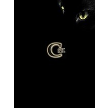 Scrap Catalytic Converter Guide: Code 5k Paperback, Olivia Green