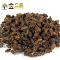 숲으로 건조약초 도꼬마리(창이자)(국산)200g 사은품증정, 200g, 1개