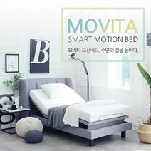 영남베드앤메디칼 가정용 병원침대 환자용 전동 모비타 RX 700(매트리스포함), RX-700 Q (퀸) / 패브릭-베이지