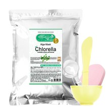 메디플라워 모델링팩 클로렐라 1kg+팩도구4종 세트, 1개, 1개