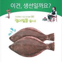 갓샵 광어 우럭 감성돔 필통 물고기 생선 특이한 파우치, 흰동가리필통