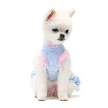 앨리스D 강아지옷 드레스 _213200, 블루