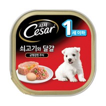시저 반려견 습식사료, 소+달걀, 100g, 12개