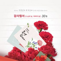 모두카피 감사엽서 스승의날 어버이날 카네이션 봉투포함 20장set TH-01, 21(20장)