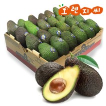 아보카도 24과 대과 5.5kg 1박스, 단품
