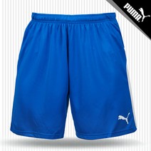 푸마 리가 쇼트 WB 5부 (70342802) 블루 반바지