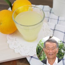 무농약유자로 만든 통유자원액 500mlx2병, 단품