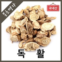 본초명가 독활 땅두릅, 1개, 300g