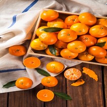 바른상회 제주 감귤 밀감, 1박스, 10kg 프리미엄 로얄과(S)