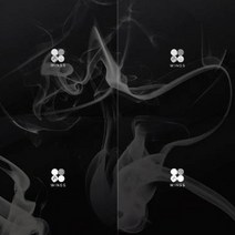 1CD_방탄소년단(BTS)-정규2집[WINGS-4종류세트상품](폴라로이드랜덤온팩)/피땀눈물/정국/지민/뷔/랩몬스터/슈가/진/제이홉