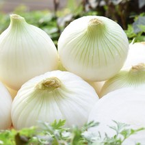 친환경팔도 간편한 무안 깐양파(대특), 2kg