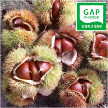 하동참다래매실농원 23년 햇밤 알밤, 1개, 1kg 대