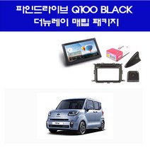 더뉴레이 Q100BLACK 매립패키지/파인드라이브/매립DIY, 상품선택