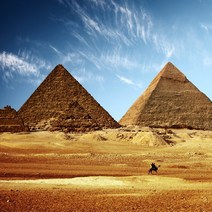 프래그런스오일_200ml_향수향, 200ml, 이집트엠버, 1개