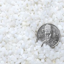 백사 3~5mm (약3.5kg), 단품