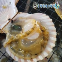 통영 자연산 비단가리비 외 해산물, 1개, 홍가리비 2kg