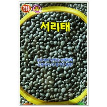 콩 서리태씨앗 30g 콩씨앗, 1개