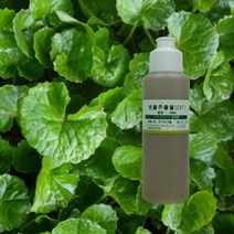 아로마케이 추출물(EXT) 비누 화장품 재료 천연비누만들기, 병풀추출물50ml