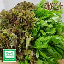 하늘농부 친환경 적상추 청상추 골라담기 상추 150g, 1봉, 청상추 150g