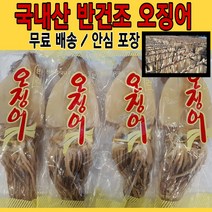 유성일등과메기 국내산 반건조 오징어, 10마리, 1.2kg 내외 (大)
