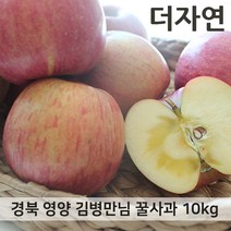 영양사과 경북 영양 꿀부사 사과 10kg 최상품, 10kg 40-43과