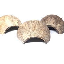 바오바론 코코넛 은신처 소라게 햄스터 휴식 가재 은신 처년 코코쉘 은둔지 번식 은둔게 야자열매 하우스 소동물용품 소동물집 투명스티커 증정, 1개