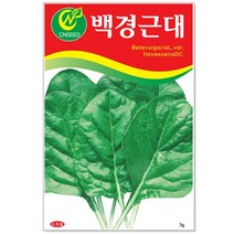 청농종묘 당근 씨앗 3000립 - 채소씨앗 당근씨 당근씨앗, 18_백경근대(5g)