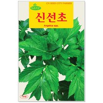 청농종묘 청로메인 씨앗 3000립 로메인씨앗 채소씨 상추씨앗, 21_신선초(100립 )