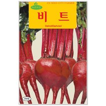 청농종묘 적겨자 씨앗 2000립 채소씨앗 겨자씨 씨 쌈채소씨앗, 02_비트(200립)