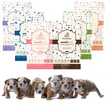 맘블레스 그레인프리 독 소프트 말랑 사료 1.2kg (양고기맛), 맘블레스 그레인프리 오리(전연령) 1.2kg, 맘블레스 그레인프리 오리(전연령) 1.2kg