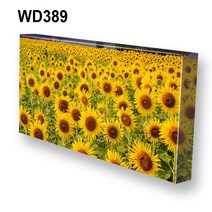 몽차 해바라기 캔버스액자 액자, WD389