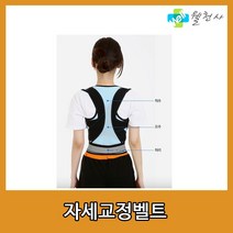 (주)현대메디칼 현대메디칼 자세교정부목 교정벨트 허리 교정 벨트 L size