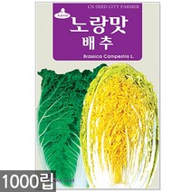 청농종묘 보라색 찰옥수수 씨앗 70립 옥수수씨앗 옥수수씨 찰옥수수씨앗 옥수수, 12_노랑맛배추(1000립)