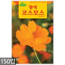 홍화 씨앗 100립 / 홍화씨앗 홍화씨 잇꽃 꽃씨앗 꽃씨 씨 야생화씨앗 야생화 야생꽃씨, 08_청농_황색코스모스(150립)