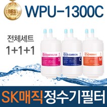 SK매직 WPU-1300C 고품질 정수기 필터 호환 전체세트, 선택03_2년관리세트(6+6+2=14개)