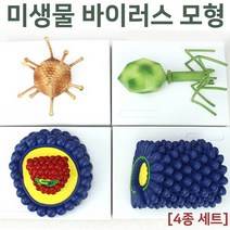 미생물 바이러스 모형(4종 세트)R RTS