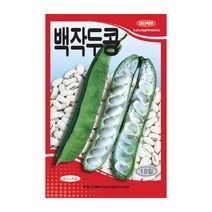 경신종묘 콩씨앗 백작두콩 10립