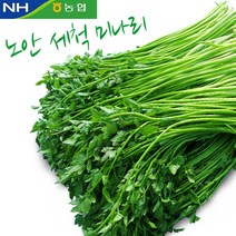 노안농협 [노안농협] 세척 미나리 1kg, 단품