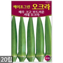 오크라 20립 - 씨앗 씨 오크라씨앗 오크라씨 채소씨앗, 09_청농_오크라(20립)