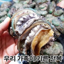 남도전복 전복, G 1kg(총18~20마리), 1box