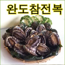 남도전복 전복, 1kg(총 14~16마리), 1box