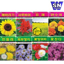 SN월드 씨앗 상추 방울토마토 당근 고추 양파 허브 새싹 꽃씨 야생화, ▶g야생화◀ ★(야생화-수염패랭이500립)