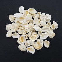 캔들바다 비치 화이트조개 - (약 100g) 젤캔들 첨가물 #디퓨저